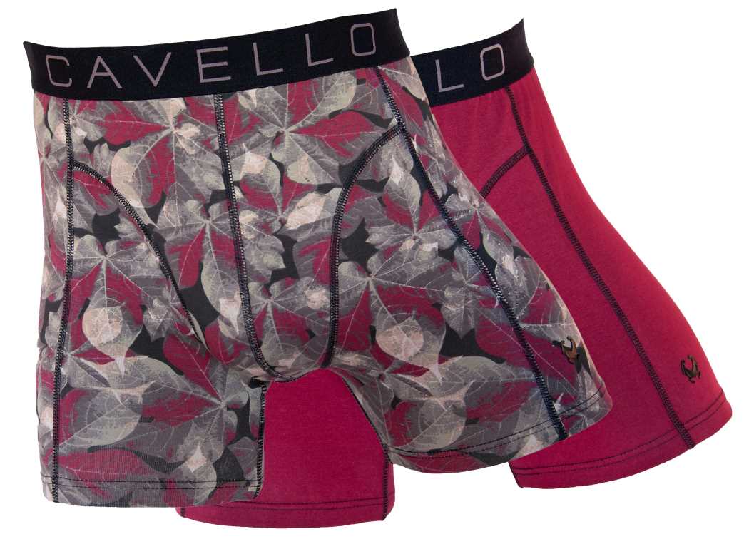 Cavello Shorts Katoen 2p. CB Shorts Katoen 2p. CB24001 460 Bordeaux