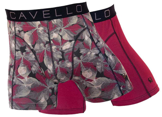 Cavello Shorts Katoen 2p. CB Shorts Katoen 2p. CB24001 460 Bordeaux